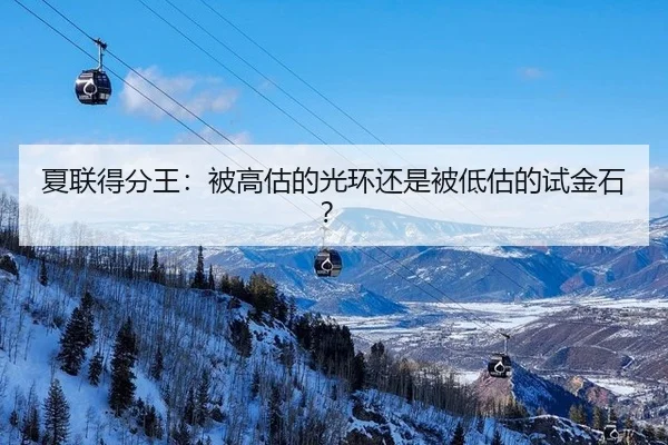 夏联得分王：被高估的光环还是被低估的试金石？